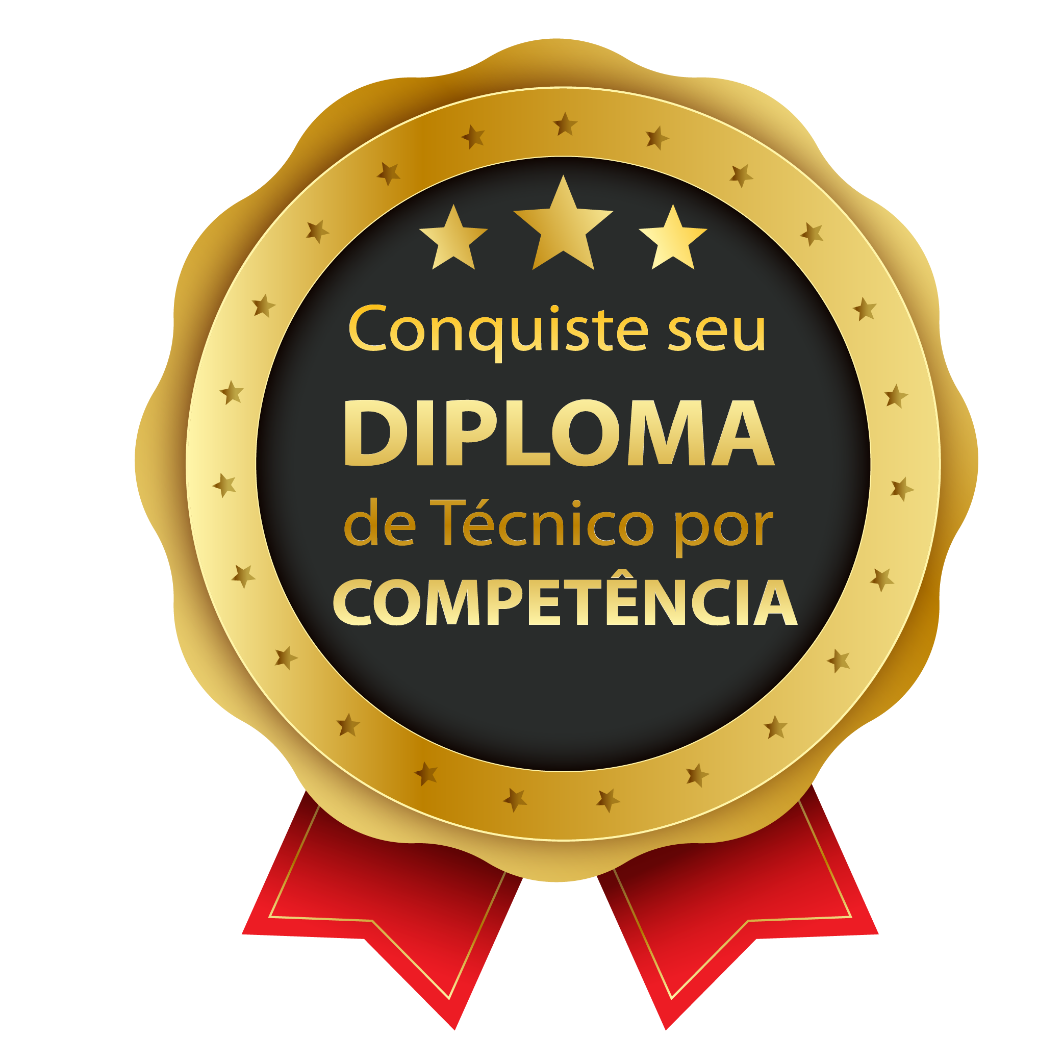 Técnico Por Competência